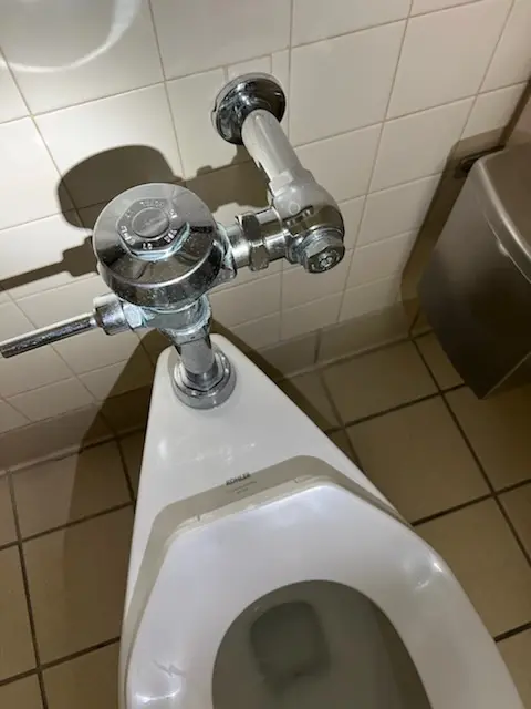 Fixture installation and repair for Garbage Disposal in Pinewood